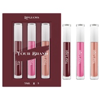 Vente en gros de gloss pour les lèvres base marque privée ensemble de gloss pour les lèvres personnalisé brillant kit de 3 gloss pour les lèvres ensemble de rouge à lèvres liquide mat