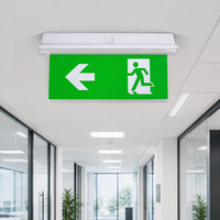 Lumière de signalisation LED d'urgence avec batterie rechargeable 2W, autonomie de 3 heures, étanche IP65 pour hôtel, usine, entrepôt