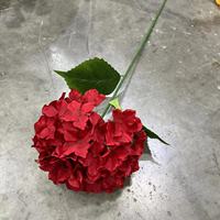 Bunga Hydrangea Sutra Buatan Tangan Realistis Grosir, Tangkai Tunggal, untuk Rumah, Pernikahan, Thanksgiving, Hari Valentine