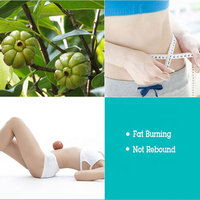 Comprimés stimulant le métabolisme Carcinia Cambogia à base de plantes Comprimés amincissants pour brûler les graisses Nettoyage du corps Digestion Santé Comprimés amincissants