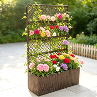 Jardinière de jardin en rotin PE d'extérieur avec treillis, résistante aux intempéries, en osier, pour plantes grimpantes