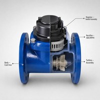 Compteur d'eau chaude/froide à corps en fonte ductile, à brides, DN80 à DN200, surface peinte