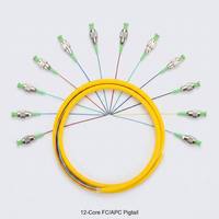 Grosir 12 Core Bundle 09 Pigtail FC/APC Fiber Optic Jumper Model untuk Antarmuka Ruang Data Jaringan Telekomunikasi
