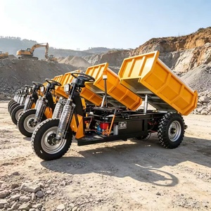ผลิตในจีน มินิ 1.5 3000w รถสามล้อดั๊มพ์เปอร์ - Product Image 3