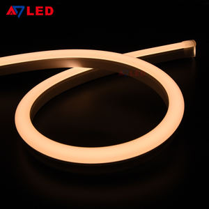 Chine fabricant Smart 5M arc-en-ciel SMD2835 LED néon bande lumineuse flexible couleur unique bobine avec émission latérale - Product Image 3