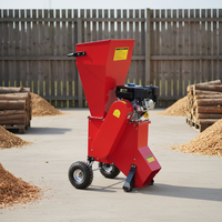Broyeur de bois agricole certifié TUV 15HP, moteur à essence 420cc, alimentation automatique pour usage agricole