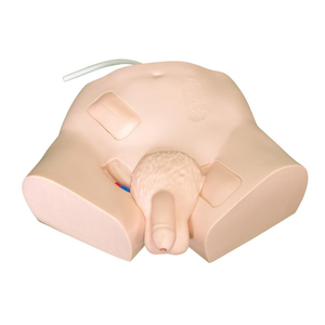 Khoa học y tế Giá Rẻ Điện Tử nam/nữ Niệu Đạo Đặt Ống Thông và Enema đào tạo mô phỏng mô hình - Product Image 2