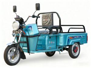 <span class=keywords><strong>Triciclo</strong></span> Eléctrico <span class=keywords><strong>de</strong></span> <span class=keywords><strong>Carga</strong></span> <span class=keywords><strong>Económico</strong></span> <span class=keywords><strong>de</strong></span> 500W para Uso Doméstico - <span class=keywords><strong>Triciclo</strong></span> Eléctrico <span class=keywords><strong>de</strong></span> 3 Ruedas <span class=keywords><strong>de</strong></span> 48V/60V para Jardín y Transporte <span class=keywords><strong>de</strong></span> Mercancías Ligeras - Product Image 1