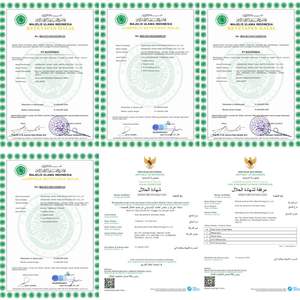 Поставщик Shengda, низкокалорийный наполнитель, диабетический подсластитель, влагостойкий гранулированный мальтит - Product Image 5