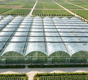 Factory Price Hail Proof Polycarbonate Greenhouse Structure Modular High Transmission Agriculture Crop Production House - Product Image 1