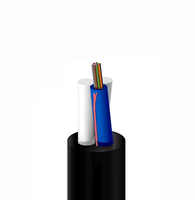 24 ans d'usine ANATEL 4 cœurs 8 cœurs 12 cœurs Câble à fibre optique ASU80/120 Mini Adss G652d G657a Câbles de communication FTTH extérieurs