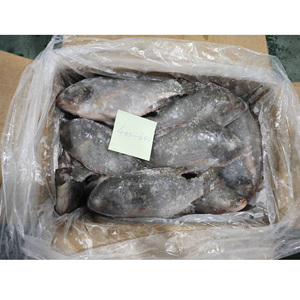 Tilapia en gros, exportation de Chine, poisson tilapia congelé, Peixe Tilapia Congelada - Product Image 6