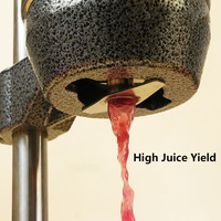 Presse-agrumes professionnel à main pour jus de citron, d'orange et de grenade, nouvelle machine à presser les agrumes, vente chaude