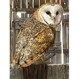 Modern Diamond Painting Animals Owl Living Room Decor kit di pittura diamante quadrato completo artigianato artistico fai da te fatto a mano