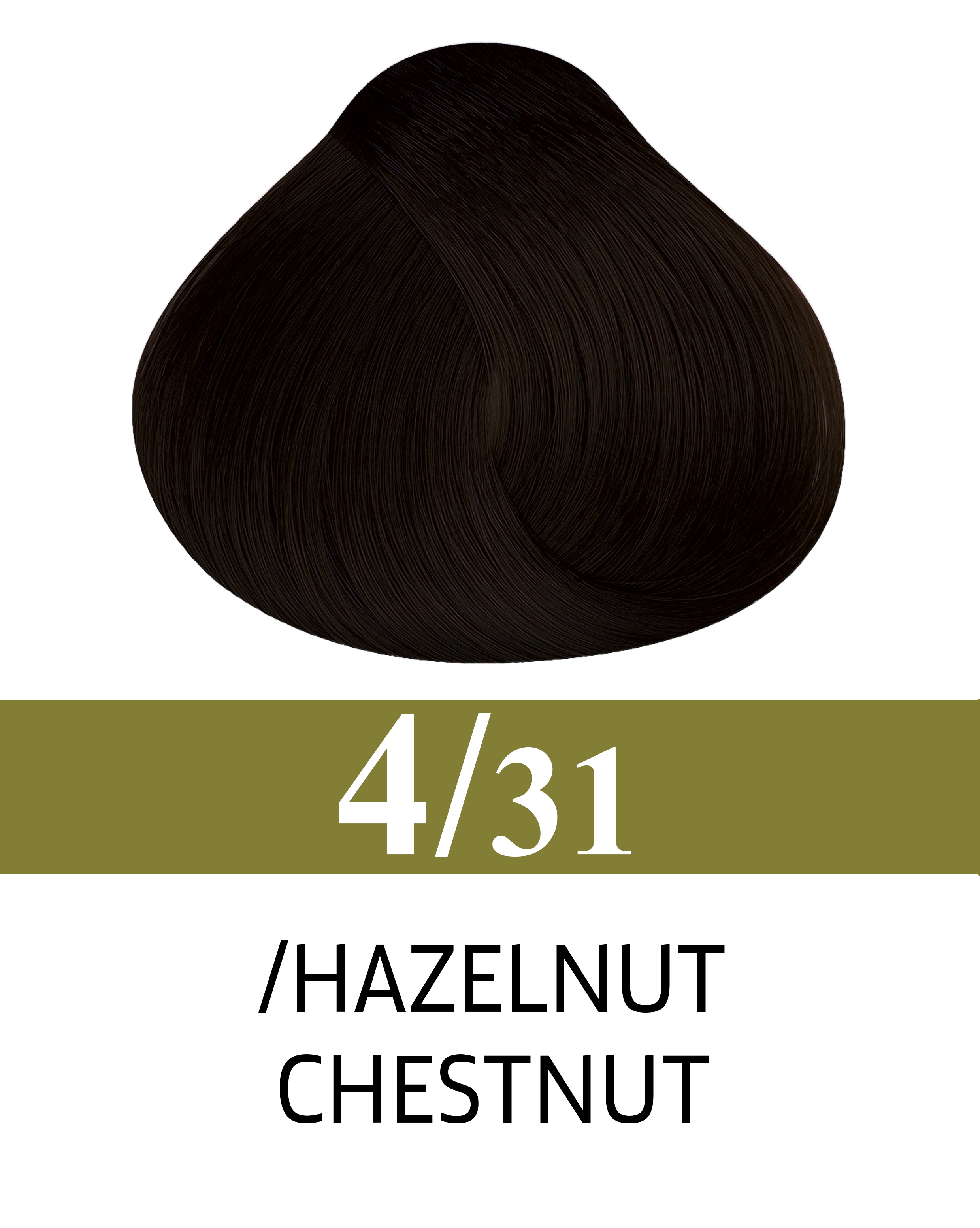 4/31 Noisette Châtaigne