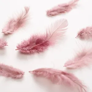 Wholesale Craft DIY Loose Bulk Pack Colorful Small Hen Feather For Ornament Making Chicken Feather 10g/bag