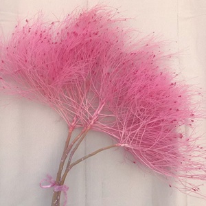 Hierba de Ensueño Preservada, Hierba Seca, 2-3 Piezas/Paquete, ETERNAL, 65-70 cm, Larga Duración, 3-5 Años, Ramo Natural para Manualidades, Centro de Mesa para Bodas - Product Image 3
