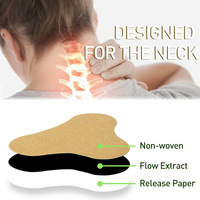 Patchs de massage à l'armoise pour soulager les douleurs musculaires, articulaires et du genou – Soin nourrissant à base de plantes – Offre spéciale