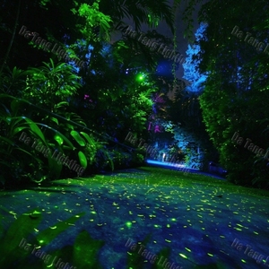 Projecteur laser à effet ciel étoilé RVB couleur pleine avec contrôle DMX512 pour extérieur, jardin, parc, scène et mariage - Product Image 6
