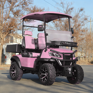 2 <strong>Seater</strong> Pink Adjustable Seats <strong>Electric</strong> Club <strong>Car</strong> Golf Carts Equipped with 3.5KW AC Motor for Off-road Hunting - Product Image 3