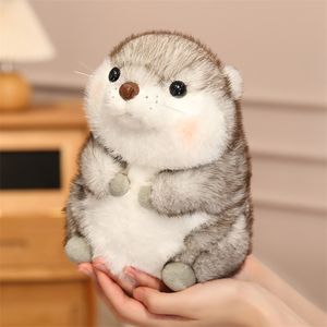 Nuevo Peluche de Nutria Nerdy de 20 cm, Juguetes de Peluche con Relleno de Algodón PP, Súper Suaves, Decoración del Hogar, Regalo de Cumpleaños Perfecto para Niños - Product Image 2