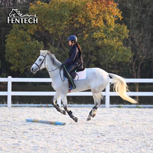 في سهولة مع الخيول <span class=keywords><strong>2</strong></span> السكك الحديدية البلاستيكية الأبيض سياج الحصان - Product Image 3