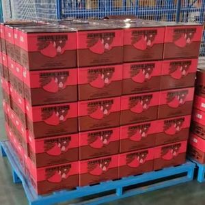 Ingrediente da forno lievito istantaneo in polvere lievito secco lievito in polvere - Product Image 4