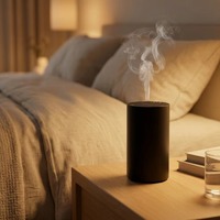 Diffuseur d'arômes pour voiture, tendances actuelles, portable, huiles essentielles naturelles, trois modes de fonctionnement