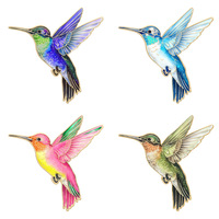 Broche originale de la série Hummingbird en alliage de zinc, exquise et dynamique, pour vêtements, sacs, trousses, avec motif d'oiseau imprimé en émail