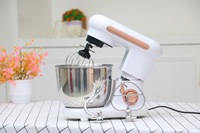 Mini mélangeur d'aliments, mélangeurs de cuisine, de pain, avec bol, appareils de cuisine intelligents, 300 l