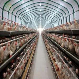 Grande Serre Mobile Simple pour l'Élevage d'Animaux, Poulailler en PE à Portée Unique pour Poulets de Chair - Product Image 5