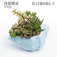 Pot de fleurs en céramique bleu marine personnalisé pour plantes succulentes, vente en gros, pot de plante succulente simple avec dessin animé d'animaux