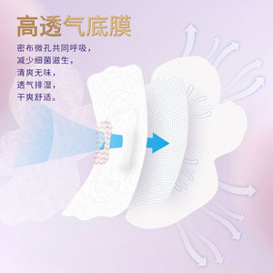 Toallas sanitarias Haishi Hainuo, para uso diurno y nocturno, mini toallas menstruales de terciopelo, en stock, venta al por mayor, combinación de cajas completas - Product Image 1