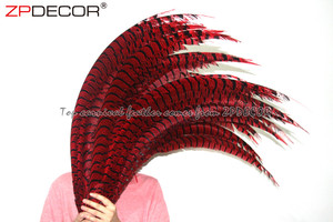 Nhà Cung Cấp Hàng Đầu ZPDECOR Bán Buôn 80-90 Cm Nhuộm Màu Đỏ Dài Số Lượng Lớn Bán Zebra Lady Amherst Chim Trĩ Đuôi Lông Cho Lễ Hội - Product Image 5