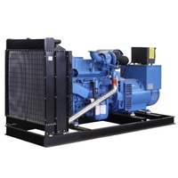 250kVA 0,8 PF Einphasiger Fernstart-Stromerzeuger mit Stabiler Leistung für Industrieanlagen, Geräuscharm 65-75 dB ab 7m