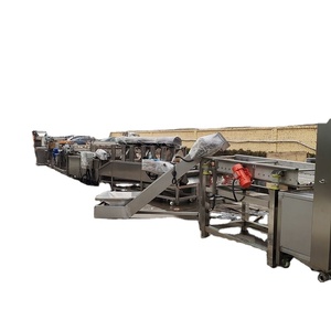 Suministro de fábrica nueva línea de producción automática industrial de patatas fritas - Product Image 6