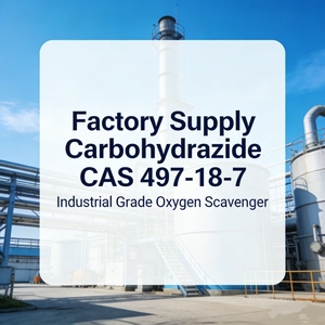 Carbohidrazide ad Alta Purezza 99.0% Polvere CDH CAS 497-18-7, Efficiente Assorbitore di Ossigeno per Trattamento Acque - Product Image 2