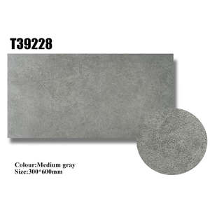 Carreaux de sol extérieurs en porcelaine de couleur Magnesio Oro Platino <span class=keywords><strong>Piombo</strong></span> Magnesio Roccia <span class=keywords><strong>Piombo</strong></span> Roccia Carreaux de jardin 300*600mm - Product Image 2