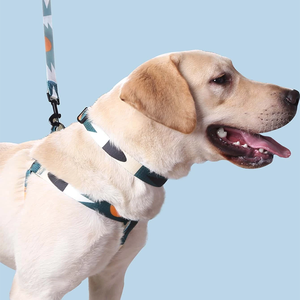 HIPHOPPET Set tali pengikat kerah anjing, nilon mewah antikeluar tanpa tarikan dapat disesuaikan tahan lama untuk desain pemblokiran warna luar ruangan - Product Image 3