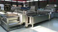 Ligne de lavage, décorticage et séchage de fraises séchées en acier inoxydable 304 de petite capacité pour atelier de transformation de snacks de baies séchées