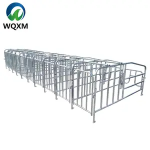 Parcs de Mise Bas Galvanisés pour Truies, Stalles de Gestation pour Porcs, Colonnes de Limitation, Équipement d'Élevage - Product Image 5