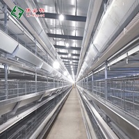 U-Best Nouvelles cages automatiques de type H pour poules pondeuses en acier galvanisé à chaud pour élevages avicoles
