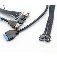 Audio Mic Entrada Salida Dual USB PC Computadora Caja Panel frontal Placa base Cable