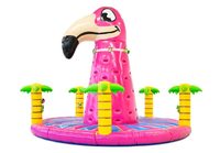 Mur d'escalade gonflable en PVC Alliance pour enfants - Utilisation en extérieur et commerciale