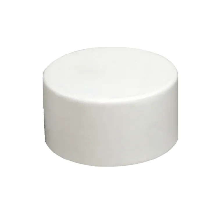 ASTM D2665 DWV NSF Certification PVC Drainage Fittings Pipe End Cap