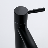 Robinet de lavabo moderne en acier inoxydable noir mat à levier élévateur à arc élevé et froid unique pour hôtel et appartement