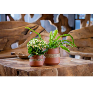 Macetas de Arcilla Terracota Natural, Ecológicas, Biodegradables, Duraderas, Hechas a Mano, Ideales para Interiores y Exteriores - Product Image 1