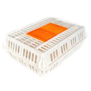 Cage à poulets empilable et durable Grande caisse en plastique pour poulet Boîte de transport pour poussins