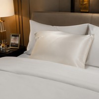 Funda de Almohada de Seda de Morera Personalizada de 16, 19, 22, 25 Momme 6A, 100% Pura, Lisa, para Hotel y Hogar, Certificada por OEKO-TEX, Caja de Regalo OEM