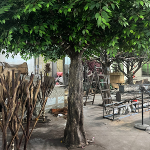 Tùy Chỉnh Tự Làm Hình Dạng Trông Tự Nhiên Banyan Cây Nhân Tạo Giả <span class=keywords><strong>Ficus</strong></span> 13ft 14ft Lớn Trang Trí Lớn Nhân Tạo Banyan Cây - Product Image 3